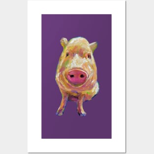 Colorful Pig Art by Artist Robert Phelps Posters and Art